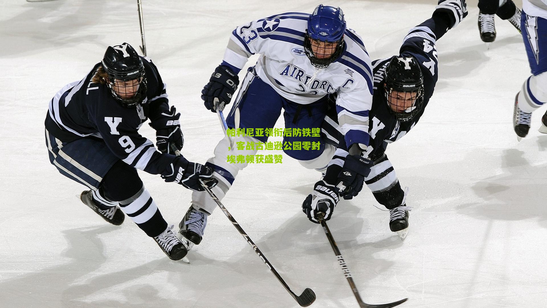 帕利尼亚领衔后防铁壁，客战古迪逊公园零封埃弗顿获盛赞